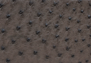 上品さに個性をプラスした大人のセカンドバッグ（オーストリッチ）オーストリッチは、革の表面にあるポツポツとした丸い突起模様が特徴です。