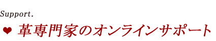 革専門家のオンラインサポート