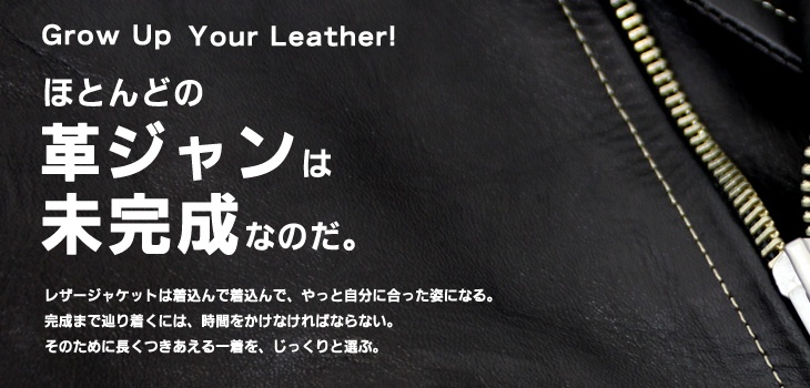 �قƂ�ǂ̊v�W�����͖������Ȃ̂��B