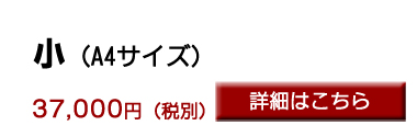 TCYڍ׃y[W