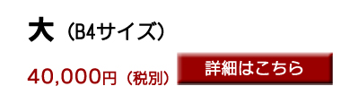 TCYڍ׃y[W